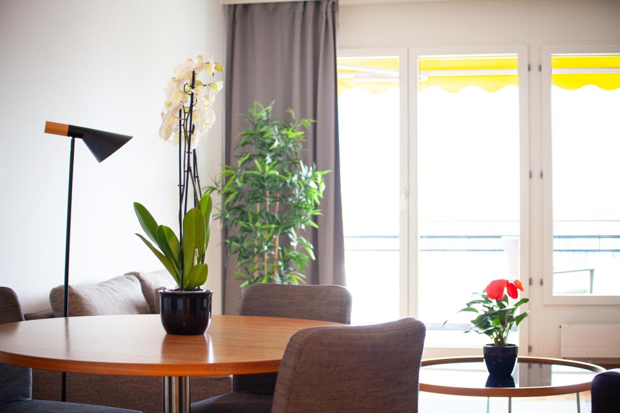 Tertianum Residenza Al Parco Appartements & Restaurant Muralto ภายนอก รูปภาพ
